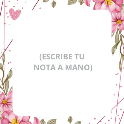 Collar Corazón de Acero Inoxidable con Caja LED de Madera + 5 Mensajes incluidos
